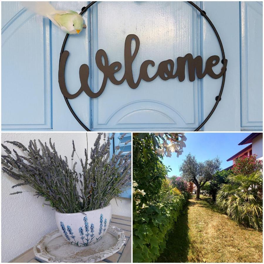 Salt & Sage Apartment Manzano Екстериор снимка