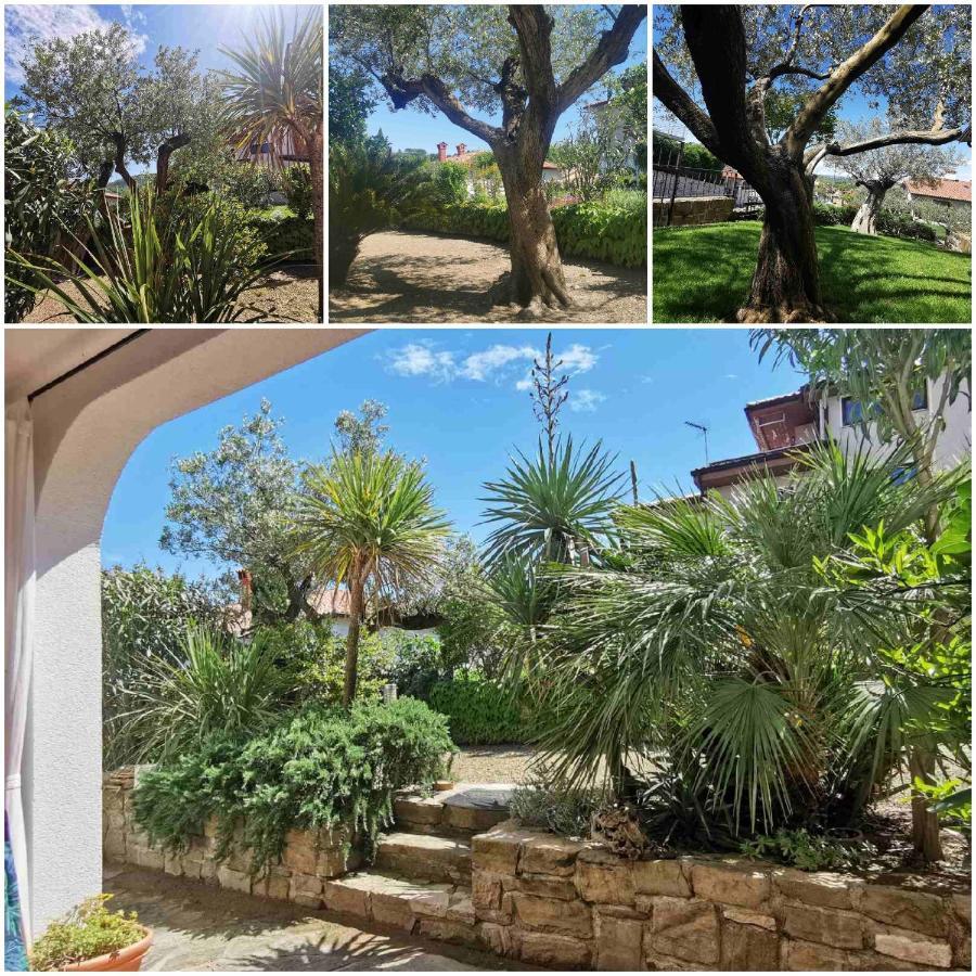 Salt & Sage Apartment Manzano Екстериор снимка